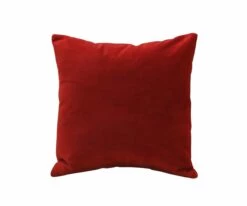Budget 🔔 B12 Joei Velvet Pillow 🌟 -Home Decor Sales B12 DS186214 18 0dbd2f3b b4af 4191 8742 d8c523e1fc47