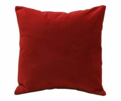 Budget 🔔 B12 Joei Velvet Pillow 🌟 -Home Decor Sales B12 DS186214 22 2f6824a1 2c78 42e2 b0d7 fa2a59029b02