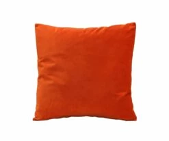 Budget 🔔 B12 Joei Velvet Pillow 🌟 -Home Decor Sales B12 DS186215 18 e604992c 3893 4e84 81a8 87d2c547d48f
