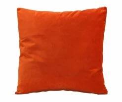 Budget 🔔 B12 Joei Velvet Pillow 🌟 -Home Decor Sales B12 DS186215 22 73135c4c b9e8 4bca ab54 c866b70ad45c