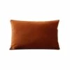 Flash Sale ✨ B12 Joei Velvet Lumbar Pillow 🎁