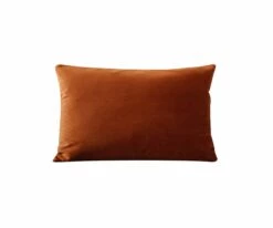 Flash Sale β¨ B12 Joei Velvet Lumbar Pillow π