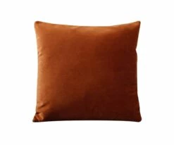 Budget 🔔 B12 Joei Velvet Pillow 🌟