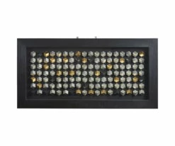 Brand new 😍 G24 Paxtown Graphic 💯