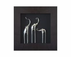 Flash Sale 🔔 G24 Samnaum I Elephant Graphic ⭐