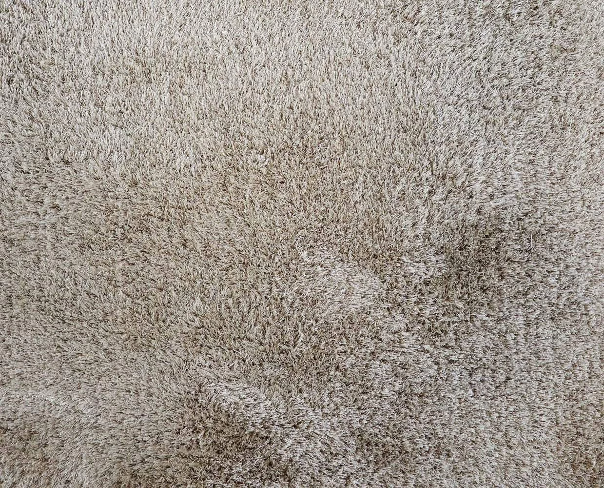 New π L30 Vitis Rug - Ivory π 4 New π L30 Vitis Rug - Ivory π - Image 4