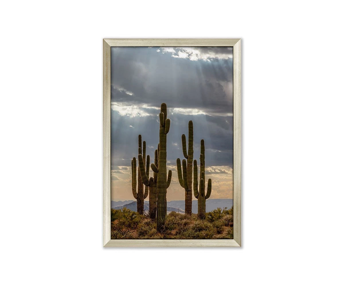 Cheapest π₯° L33 Desert Bliss βοΈ 1 Cheapest π₯° L33 Desert Bliss βοΈ