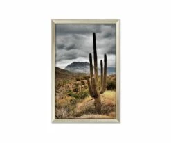 Deals 👍 L33 Desert Sunrise 👏