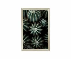 Discount 😀 L33 Enchanted Effervescence 🤩