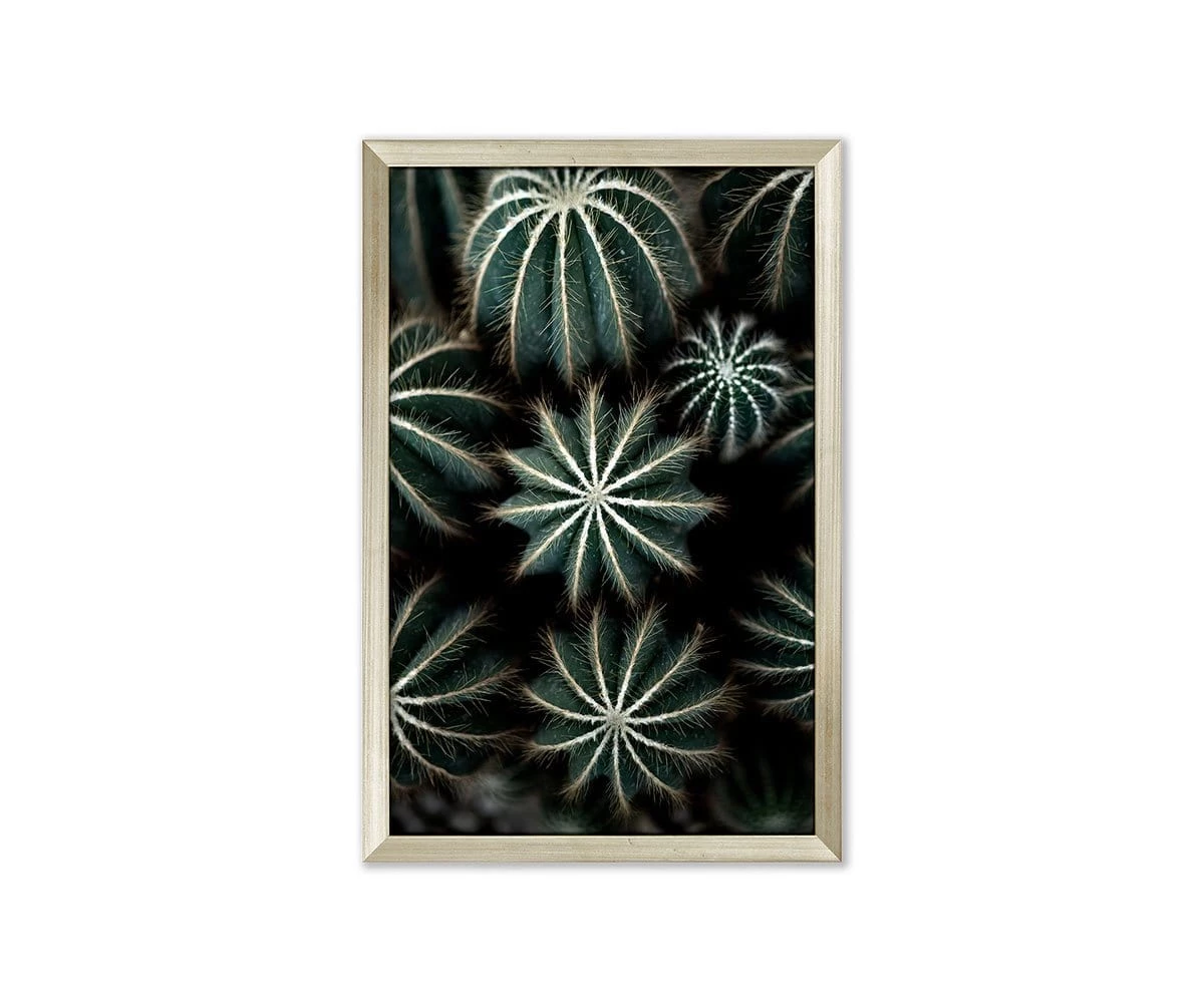 Discount π L33 Enchanted Effervescence π€© 1 Discount π L33 Enchanted Effervescence π€©