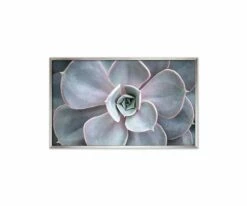 Outlet 🔔 L33 Enchanted Tranquility 🎉