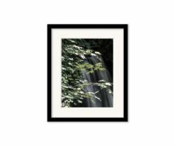 Budget 🎁 L33 Silvery Silence 🔥