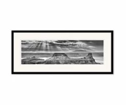 Wholesale 🎁 L33 Vast Wildness ❤️