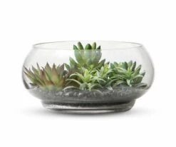 Budget ❤️ S64 Garden Faux Succulents in Glass Bowl Terrarium 🎉