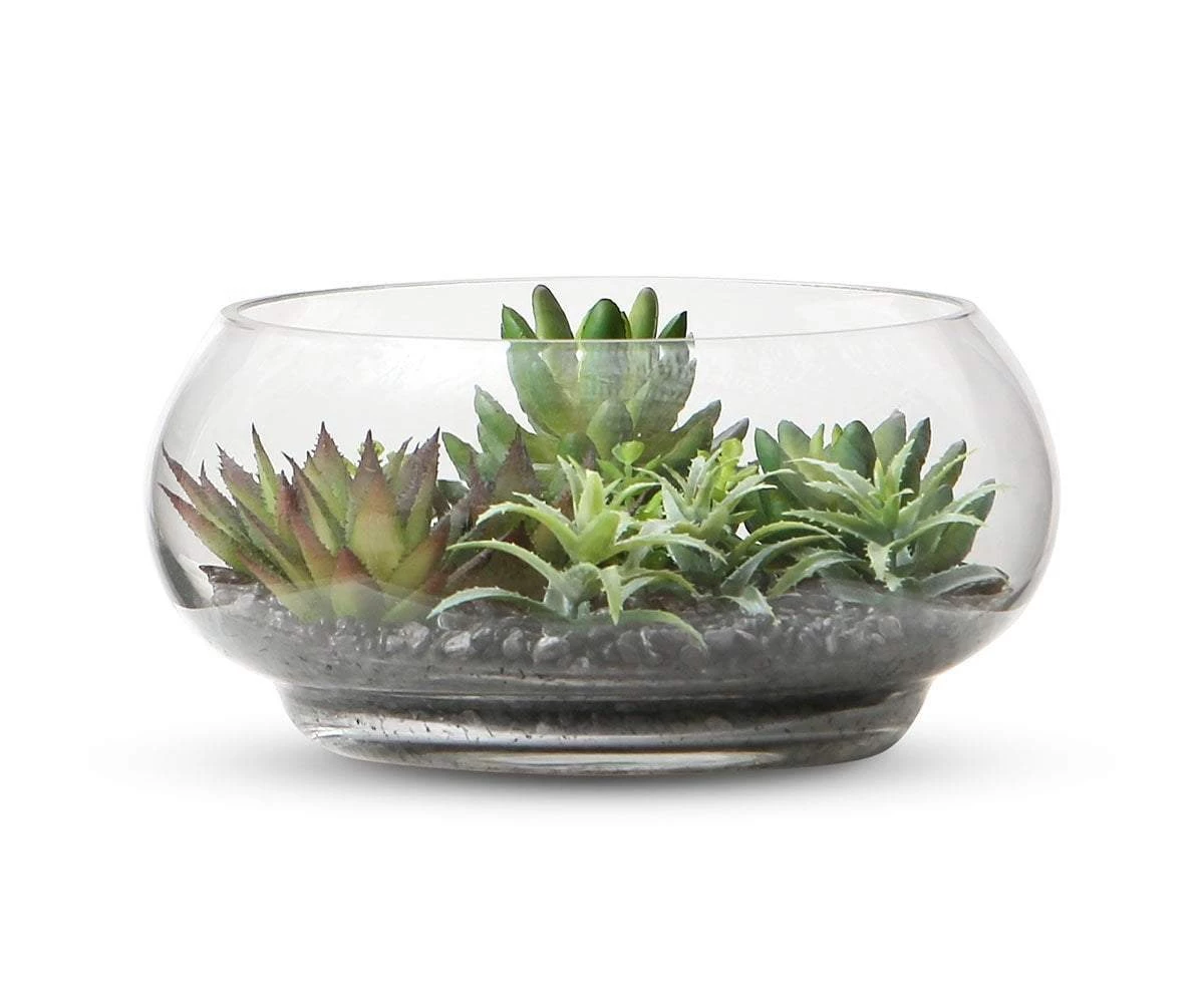 Budget β€οΈ S64 Garden Faux Succulents in Glass Bowl Terrarium π 1 Budget β€οΈ S64 Garden Faux Succulents in Glass Bowl Terrarium π