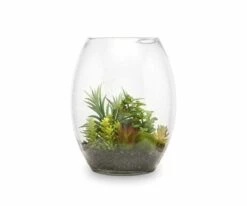 Flash Sale 🌟 S64 Faux Succulent Variety in Glass Bowl Terrarium ⭐